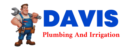 Trusted plumber in CUSTER